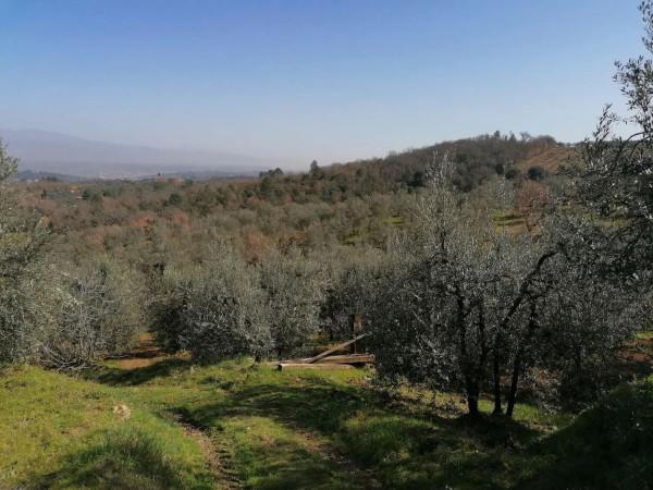 immagine annuncio 5 di 6