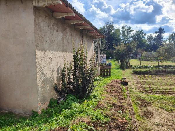 immagine annuncio 2 di 8