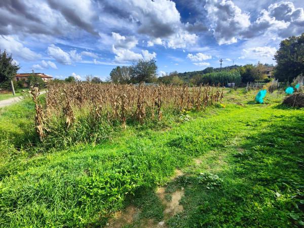 immagine annuncio 4 di 8