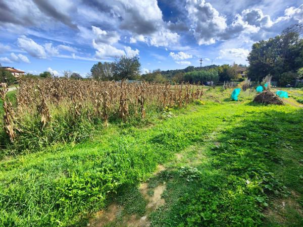 immagine annuncio 5 di 8