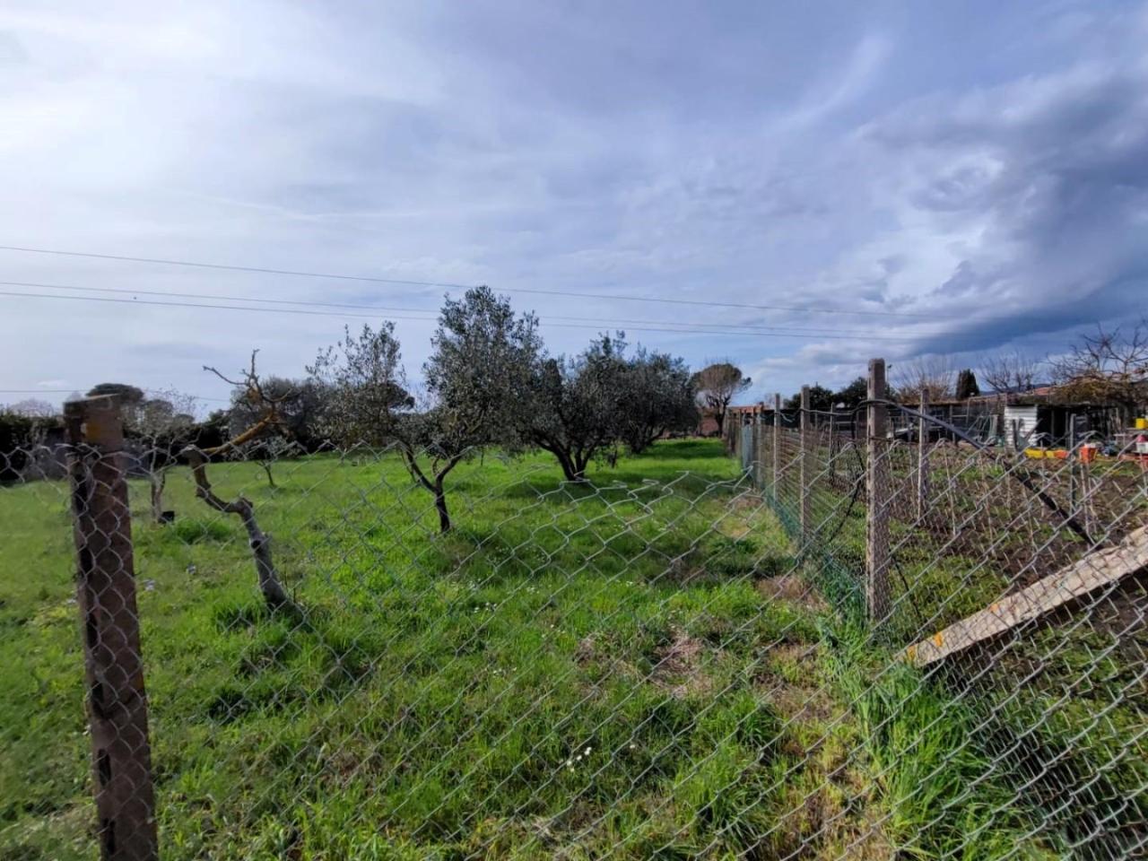 immagine annuncio 3 di 6