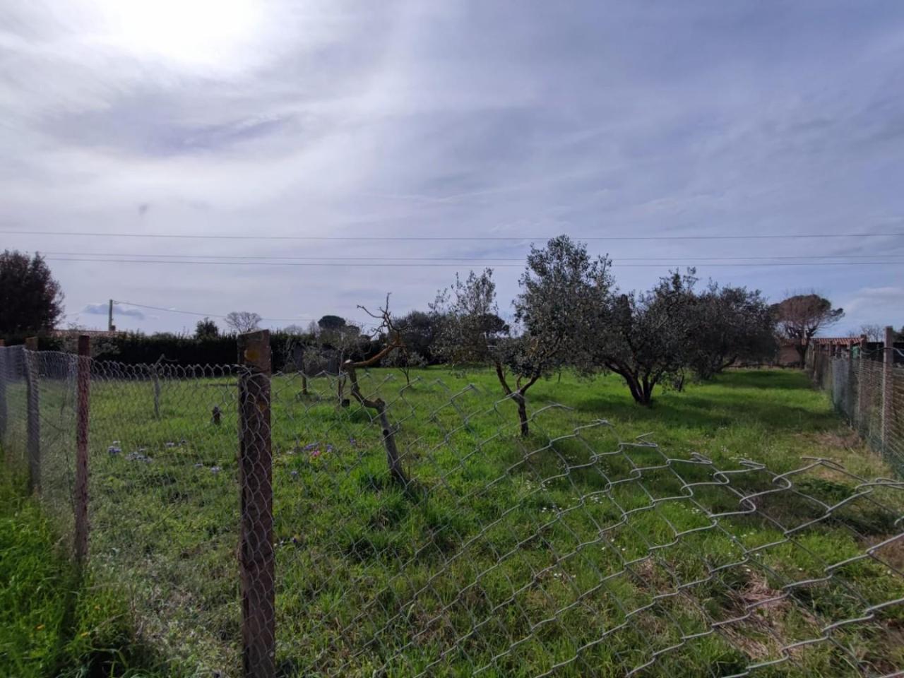 immagine annuncio 5 di 6