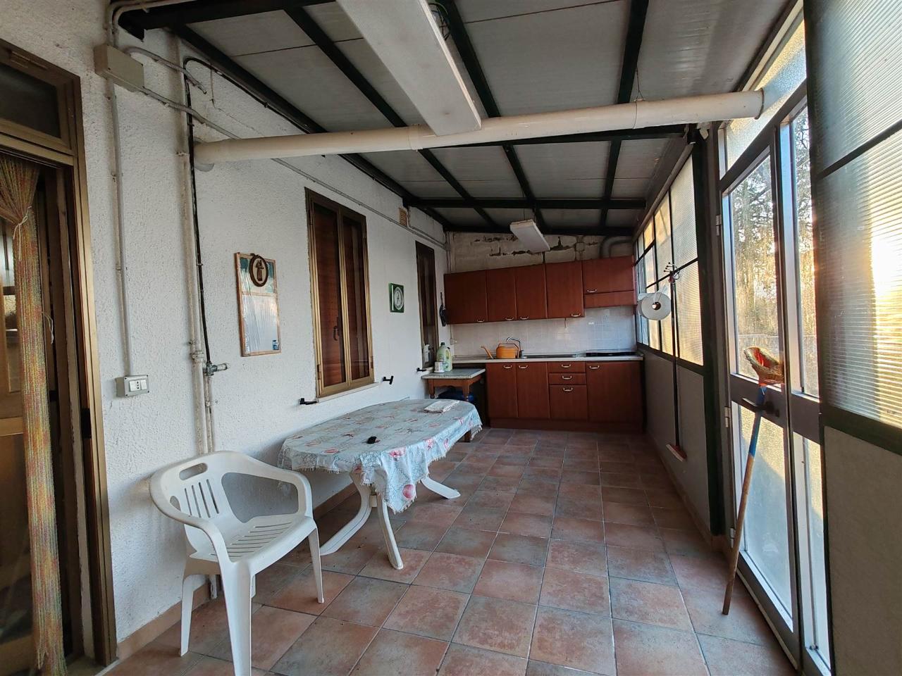 immagine annuncio 11 di 14