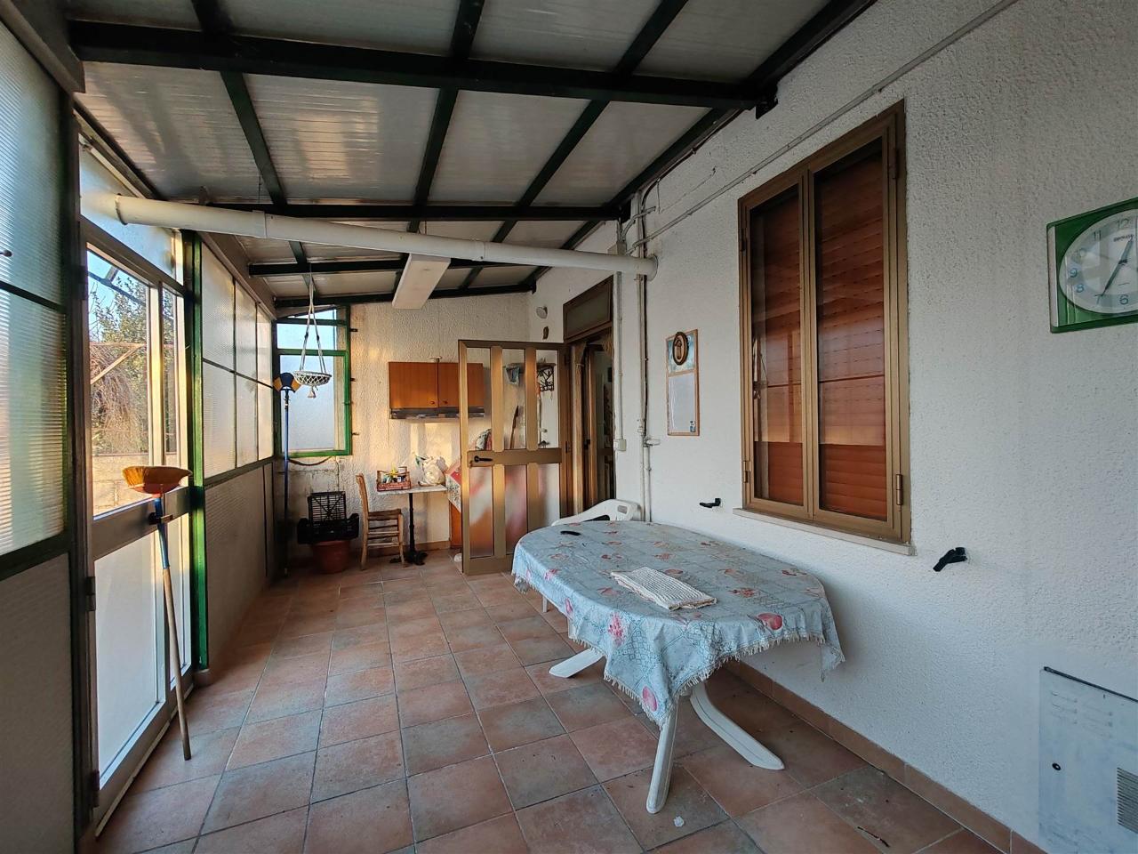 immagine annuncio 12 di 14