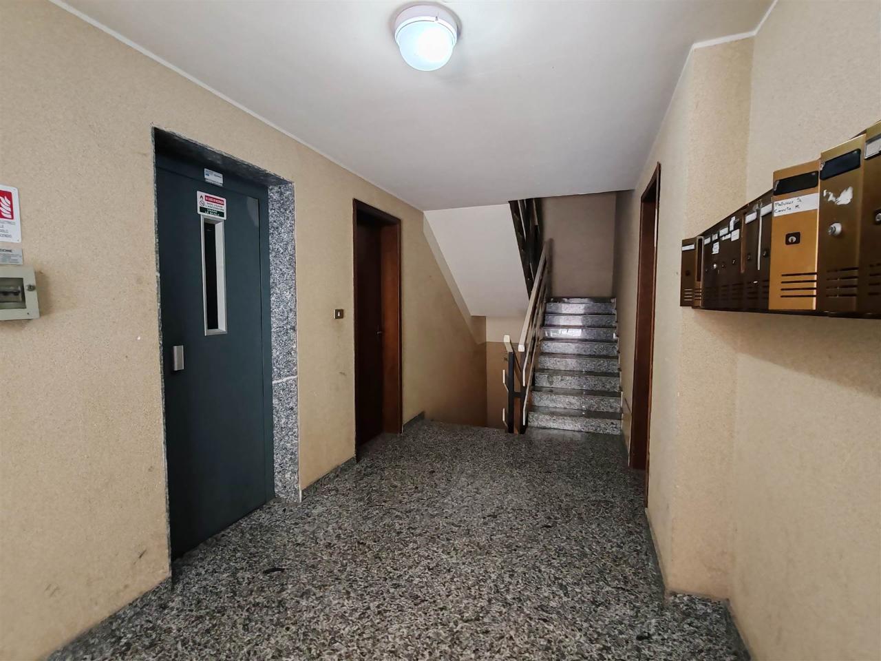 immagine annuncio 1 di 14