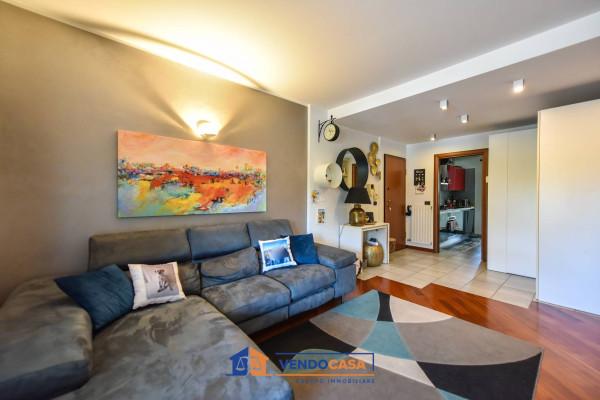 immagine annuncio 11 di 15