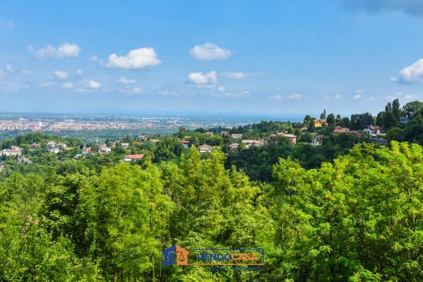 immagine annuncio 11 di 13