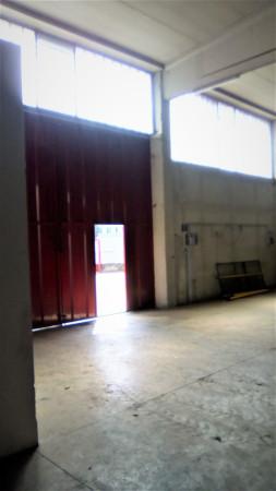 Capannone in Via Milano, Gorla Minore, {3} - Foto 2