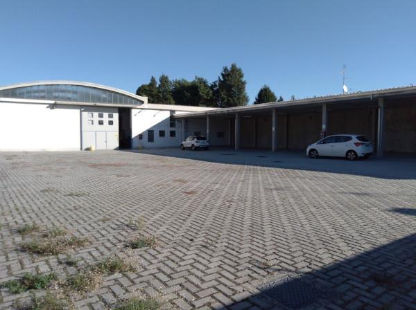 Magazzino in Via Papa Giovanni XXIII, Cardano Al Campo, {3} - Foto 1