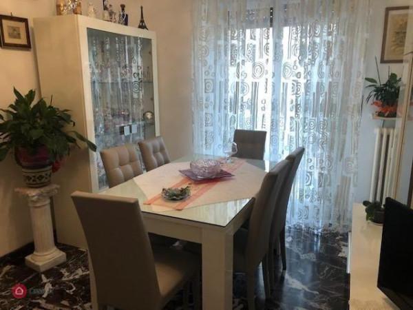 immagine annuncio 9 di 14