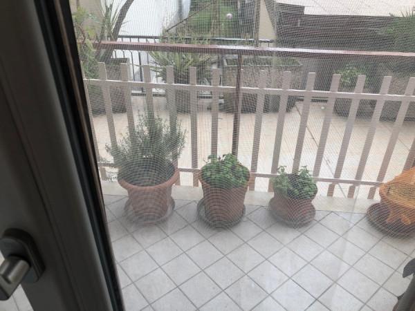 immagine annuncio 5 di 14