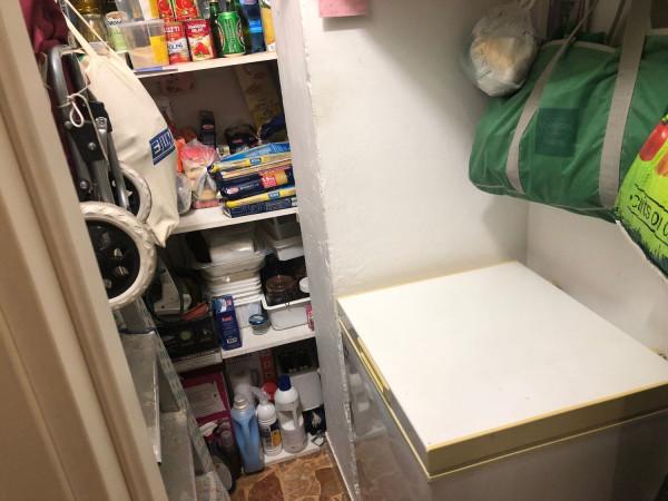 immagine annuncio 11 di 14