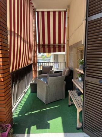 immagine annuncio 8 di 12