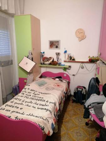 immagine annuncio 7 di 14