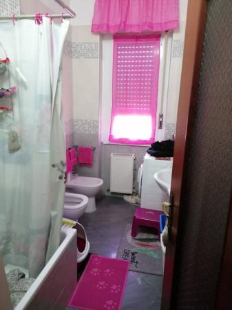 immagine annuncio 12 di 14