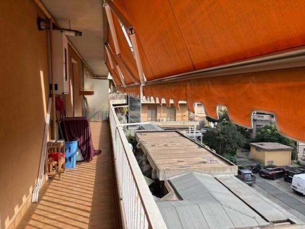 immagine annuncio 2 di 14