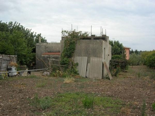 insertion image
