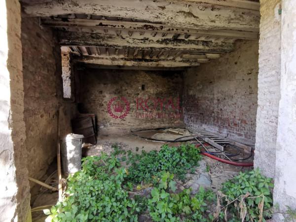 immagine annuncio 12 di 14