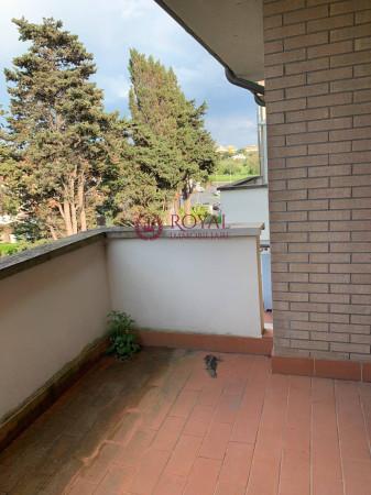 immagine annuncio 9 di 13