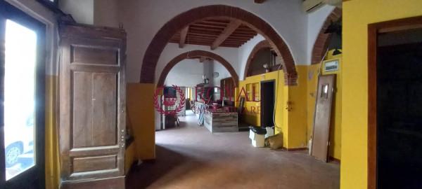 Negozio in , Livorno, {3} - Foto 1