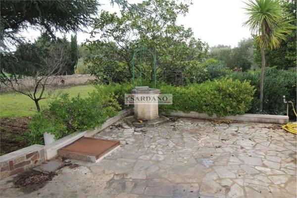 immagine annuncio 5 di 11