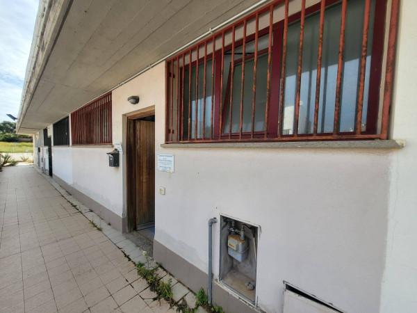 Negozio in Strada Bandita delle Mortelle, Civitavecchia, {3} - Foto 1