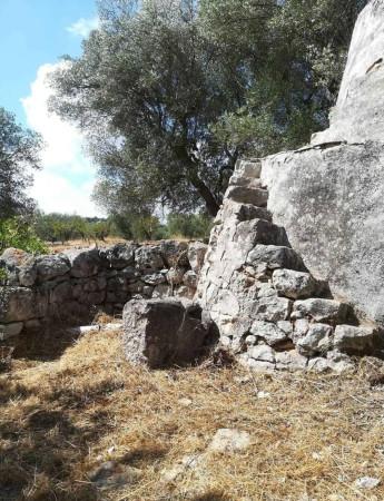 immagine annuncio 4 di 7