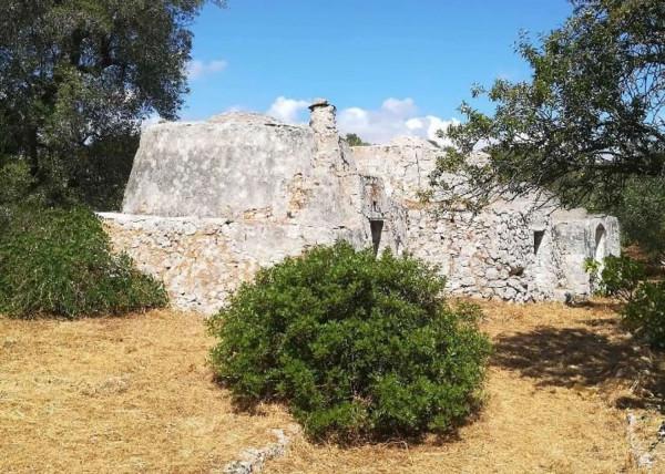 immagine annuncio 1 di 7