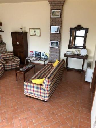 Negozio in , Cecima, {3} - Foto 2
