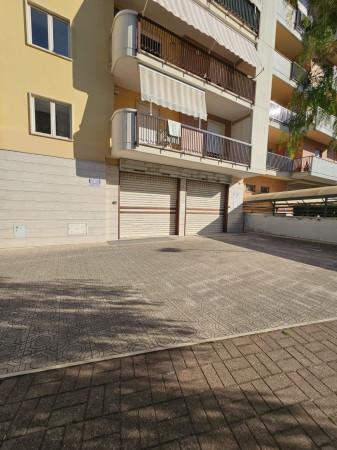 Negozio in , Andria, {3} - Foto 1