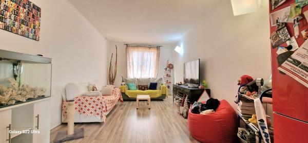 immagine annuncio 5 di 13