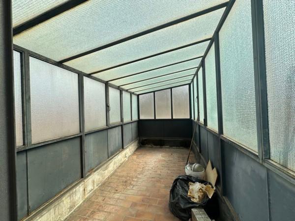 immagine annuncio 11 di 14