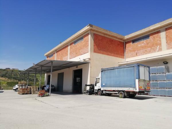 Capannone in Contrada Bordea, Sciacca, {3} - Foto 1