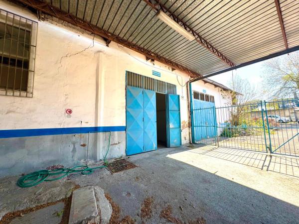 immagine annuncio 9 di 13