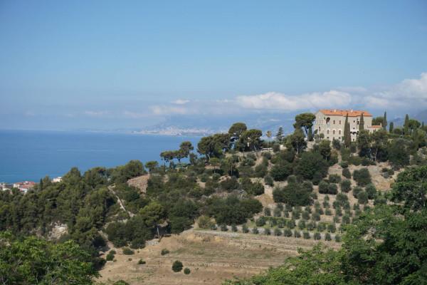 immagine annuncio 7 di 12