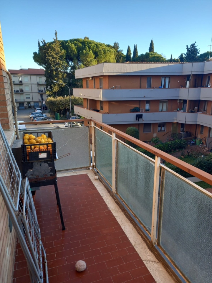 immagine annuncio 2 di 7