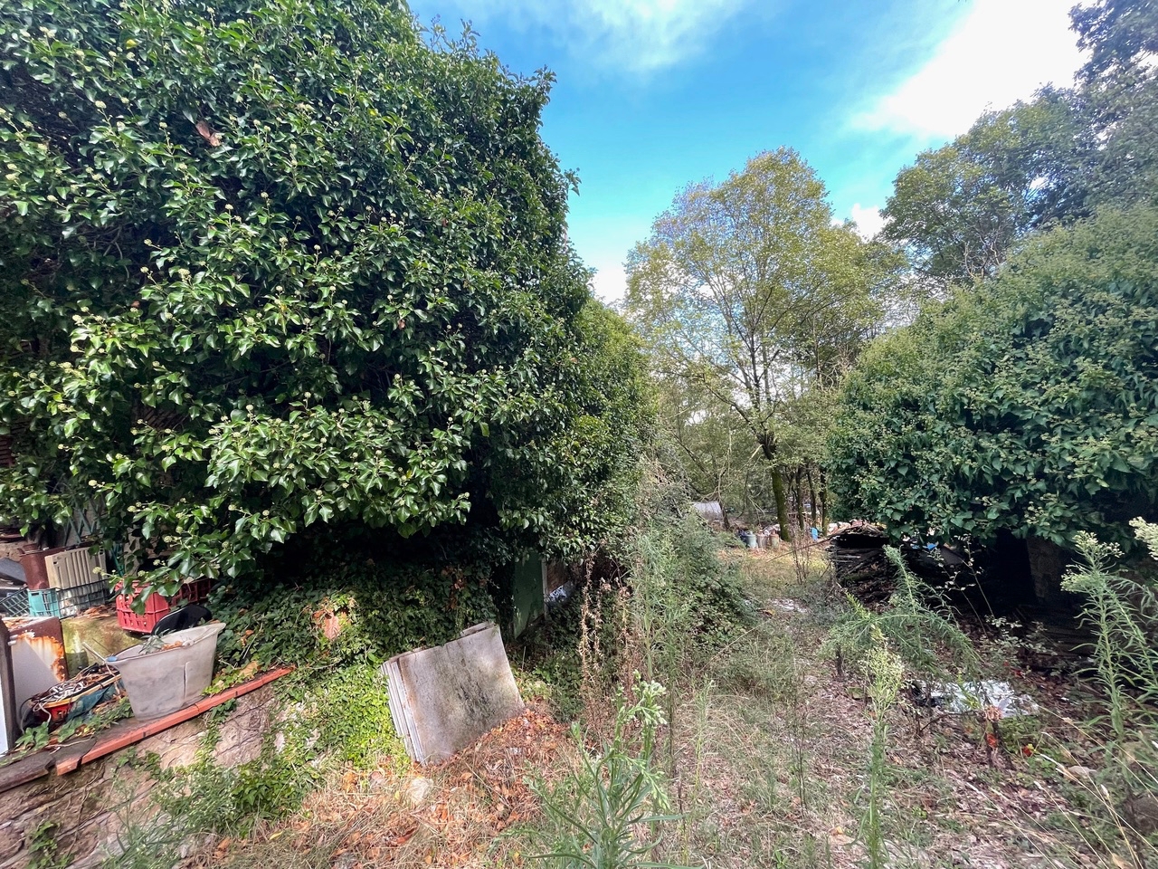 immagine annuncio 4 di 14