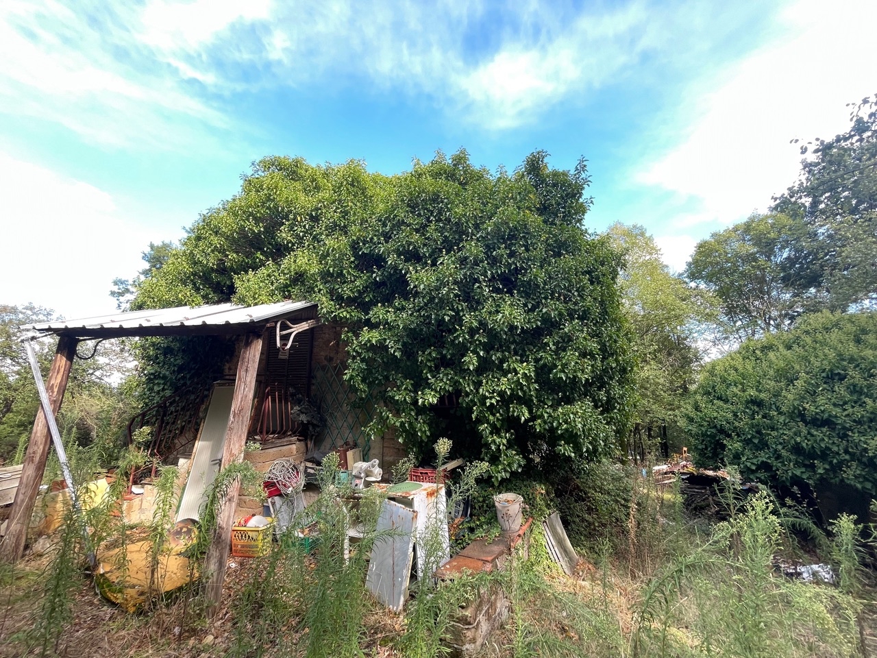 immagine annuncio 3 di 14