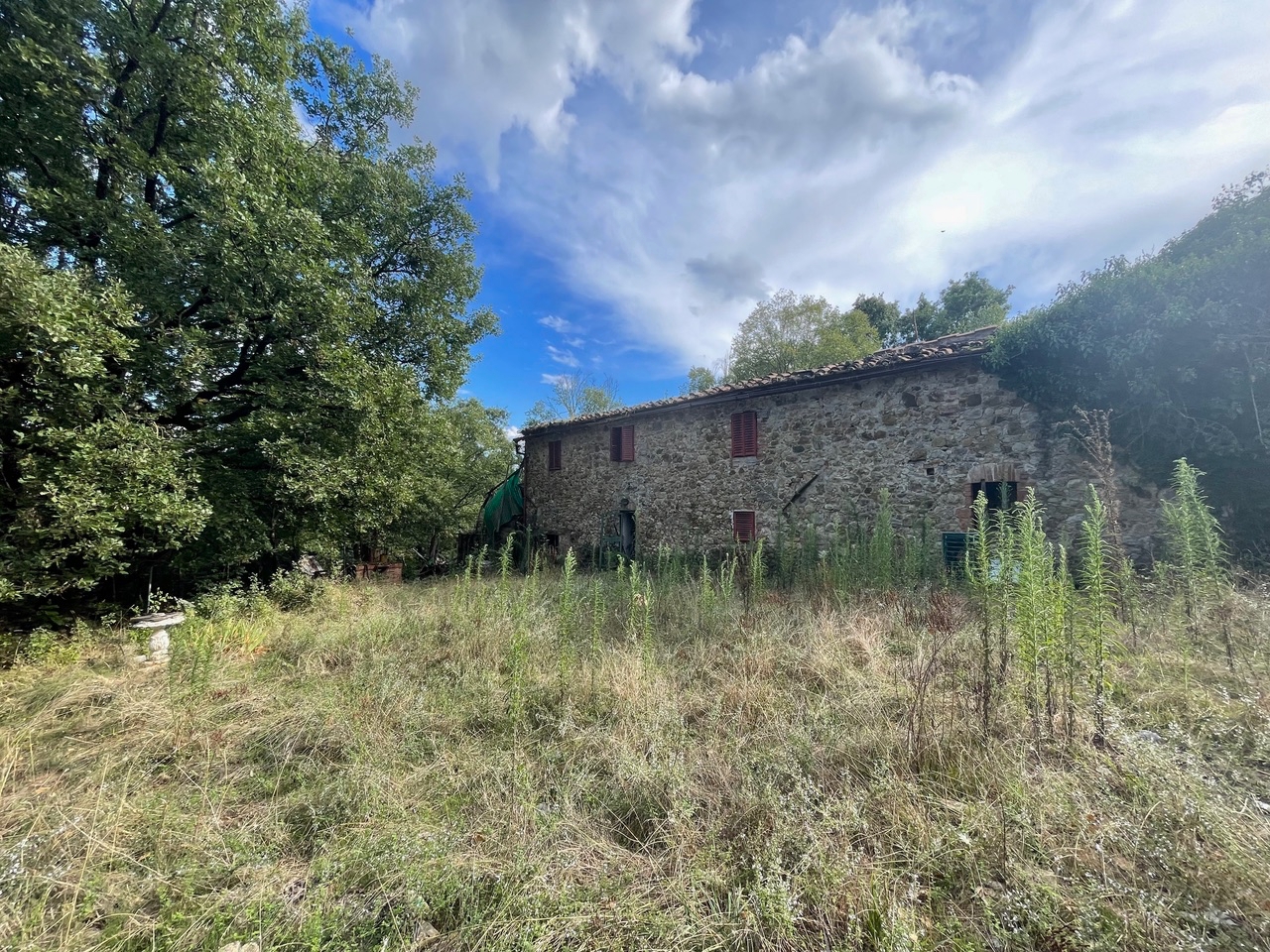 immagine annuncio 1 di 14