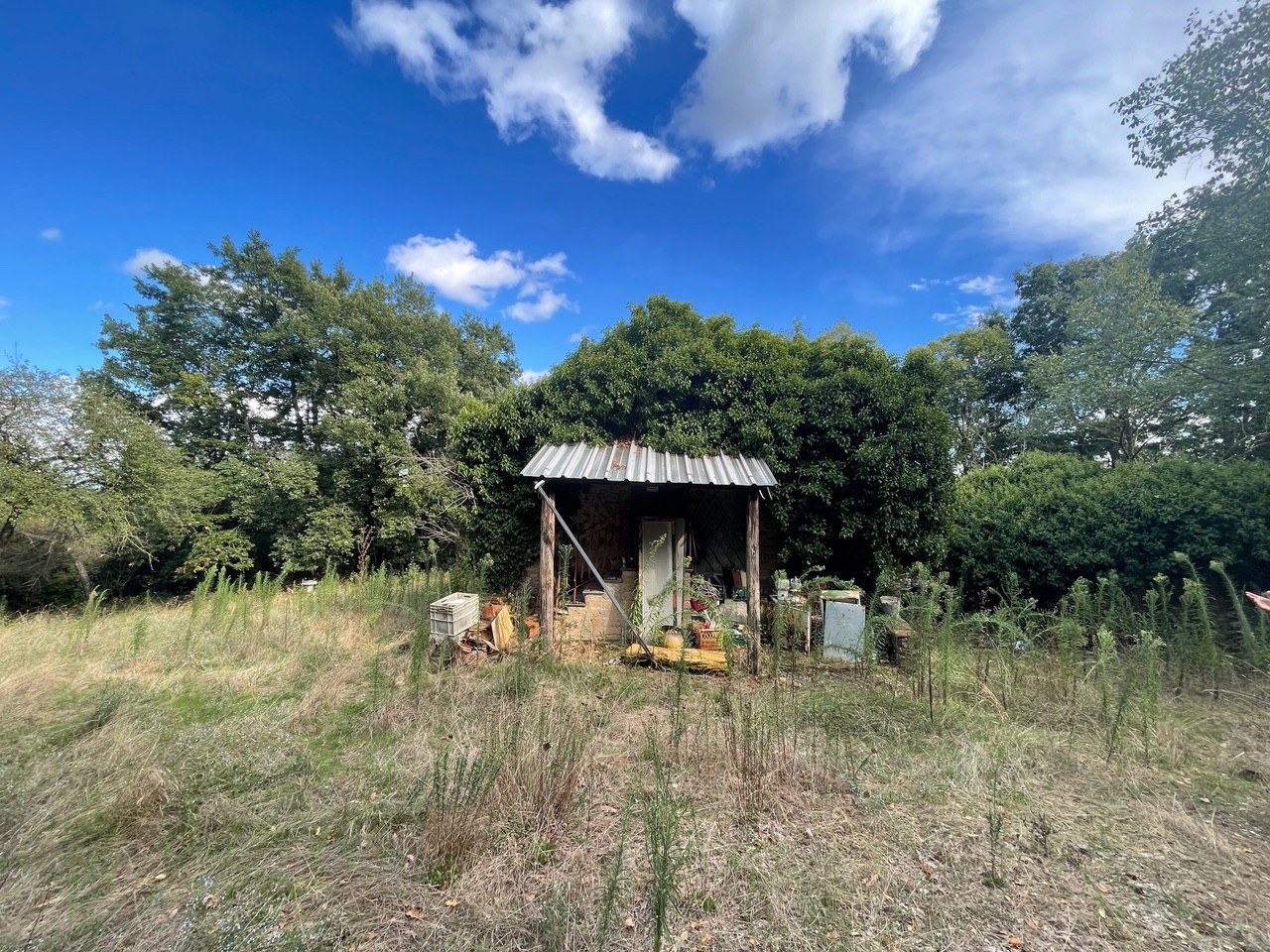 immagine annuncio 12 di 14