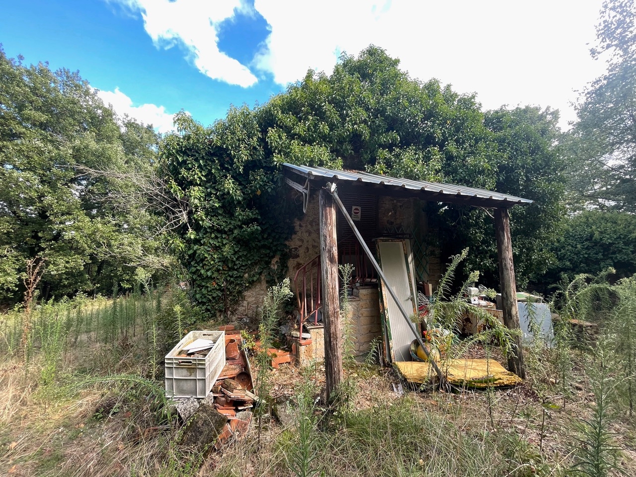 immagine annuncio 13 di 14