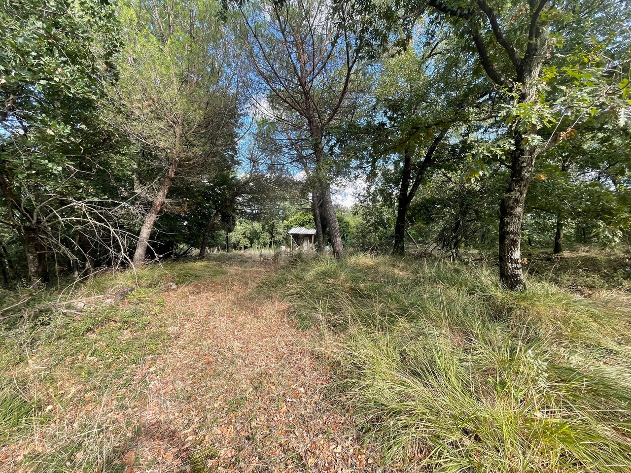 immagine annuncio 11 di 14