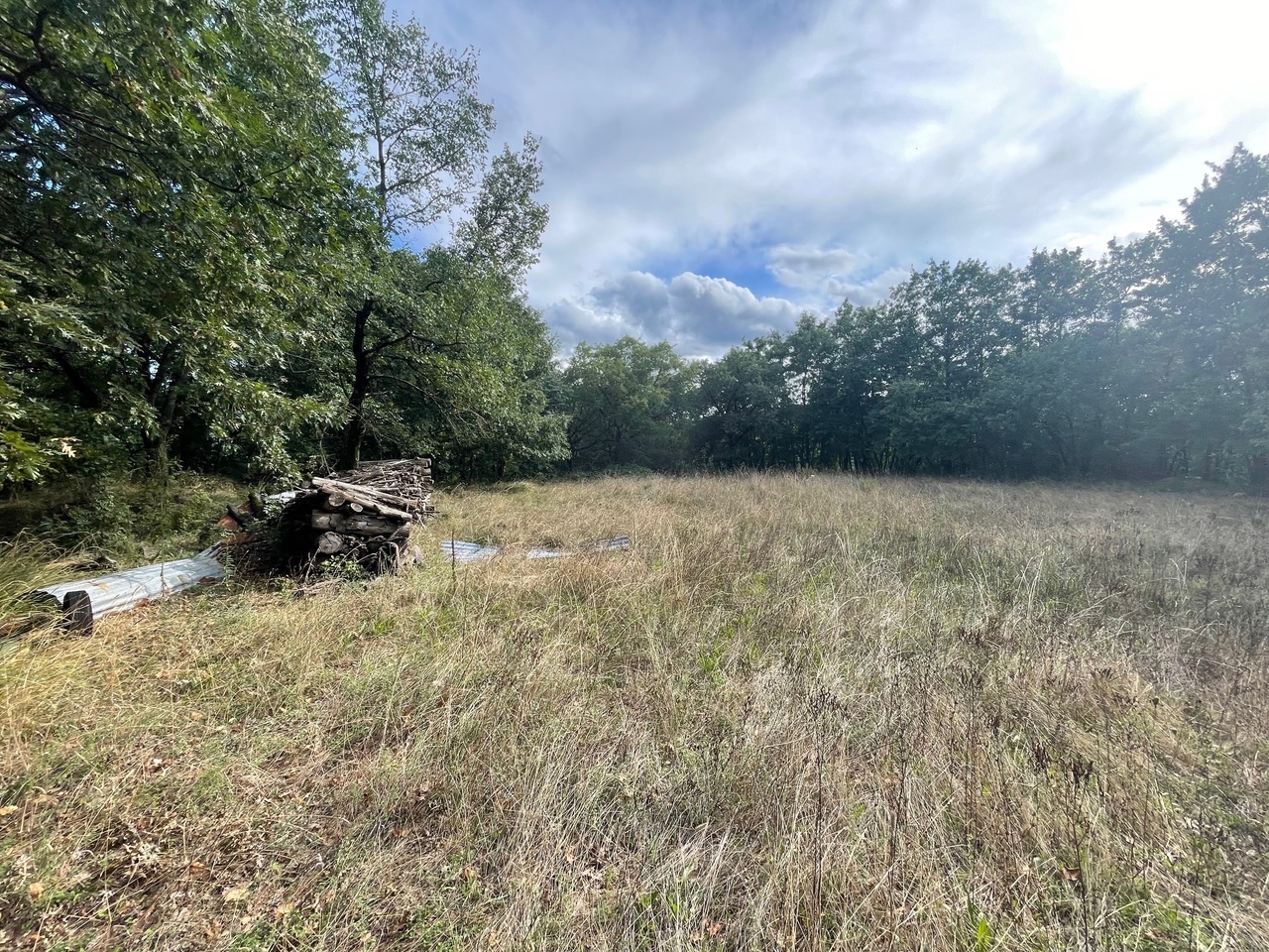 immagine annuncio 10 di 14