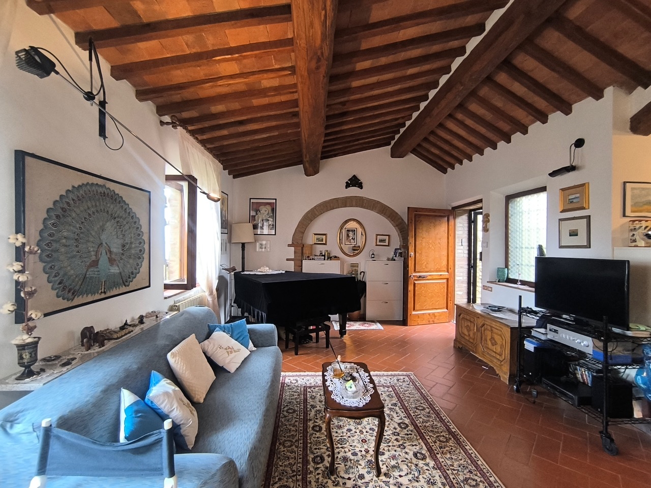 immagine annuncio 14 di 15