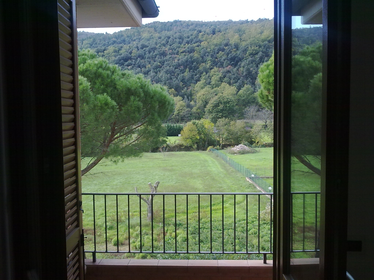 immagine annuncio 4 di 8