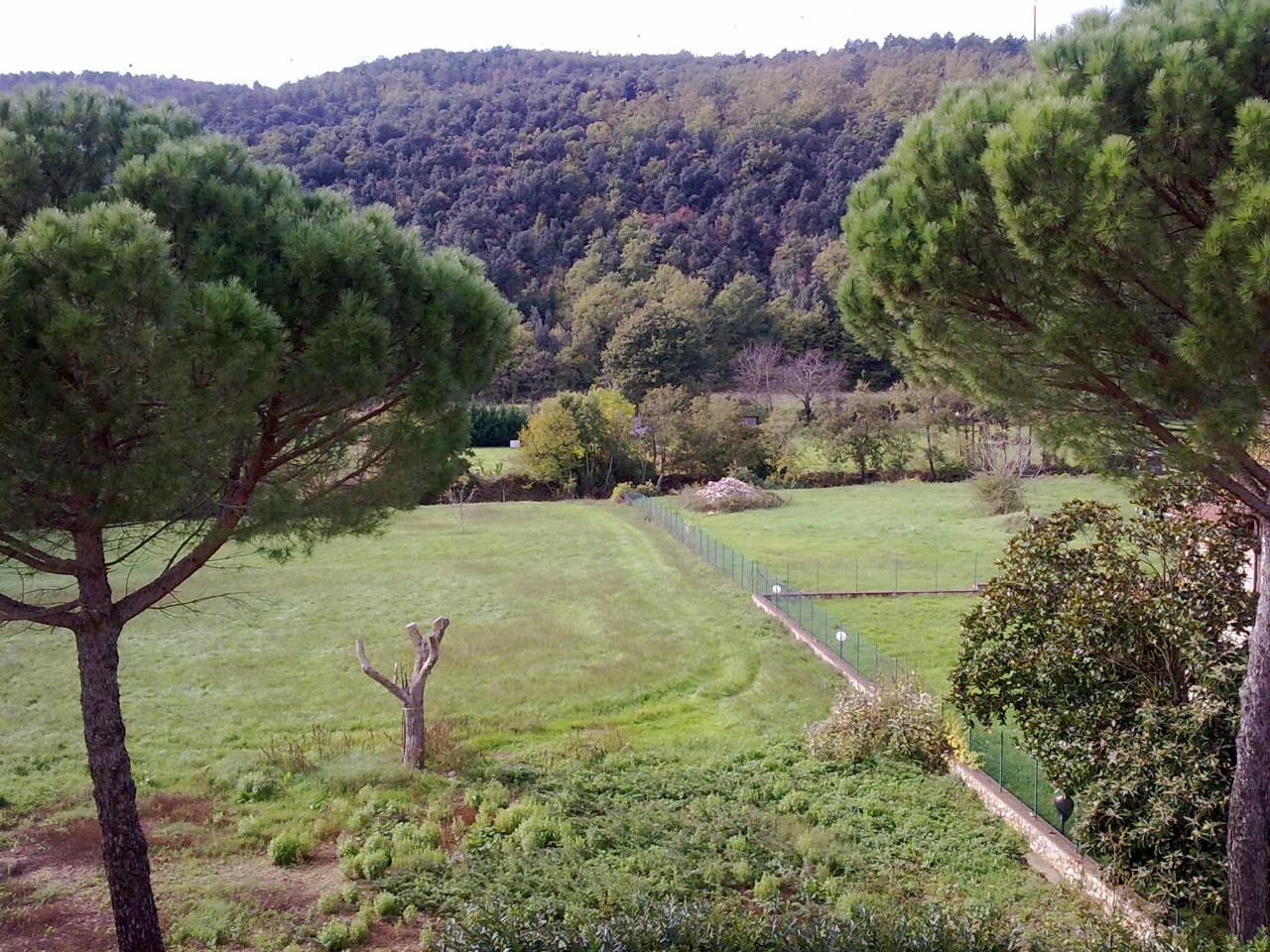 immagine annuncio 5 di 8