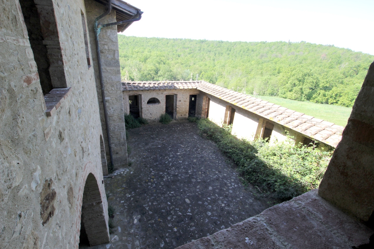 immagine annuncio 10 di 12