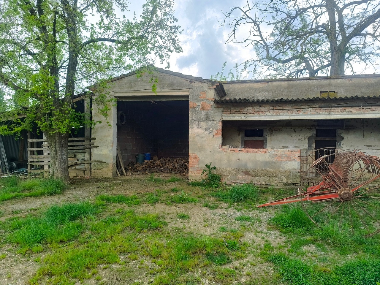 immagine annuncio 7 di 15
