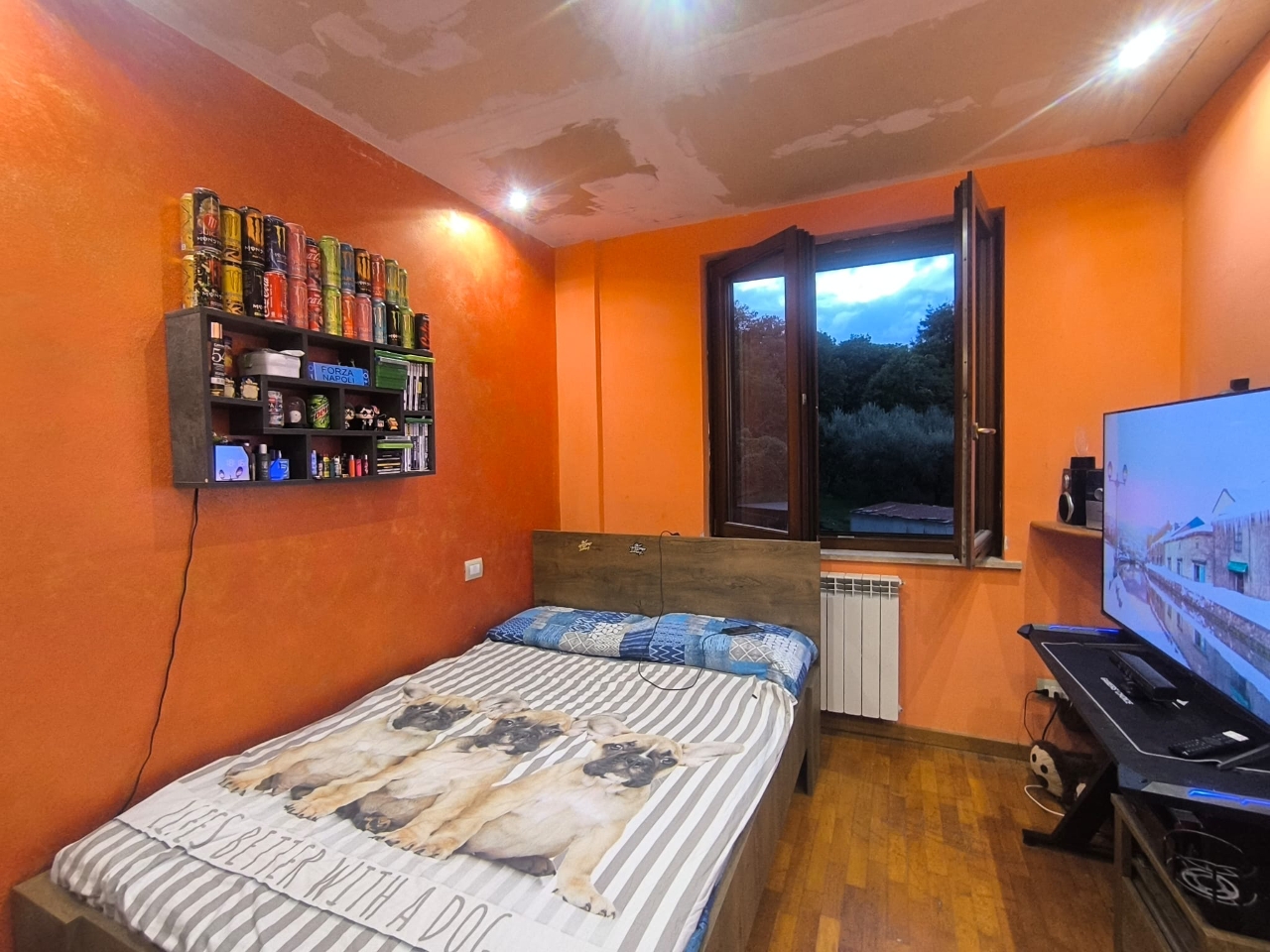 immagine annuncio 14 di 15