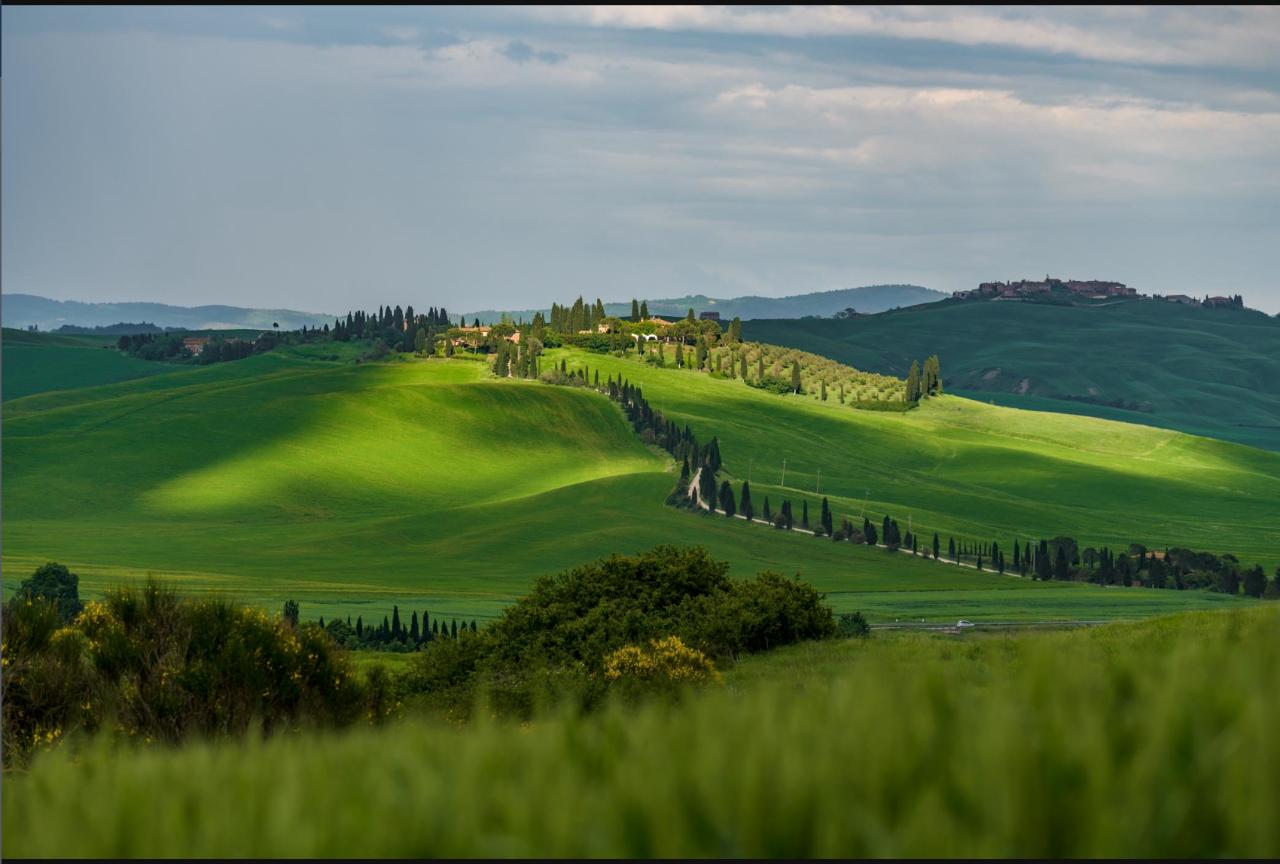 Azienda agricola in Via Roma, Buonconvento, {3} - Planimetria 1